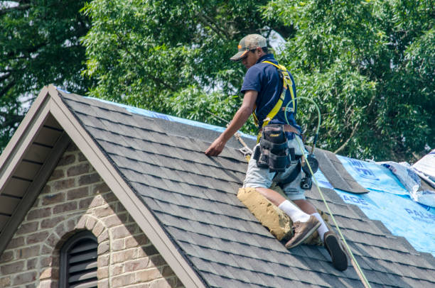 Reliable Napavine, WA Roofing Contractor Solutions